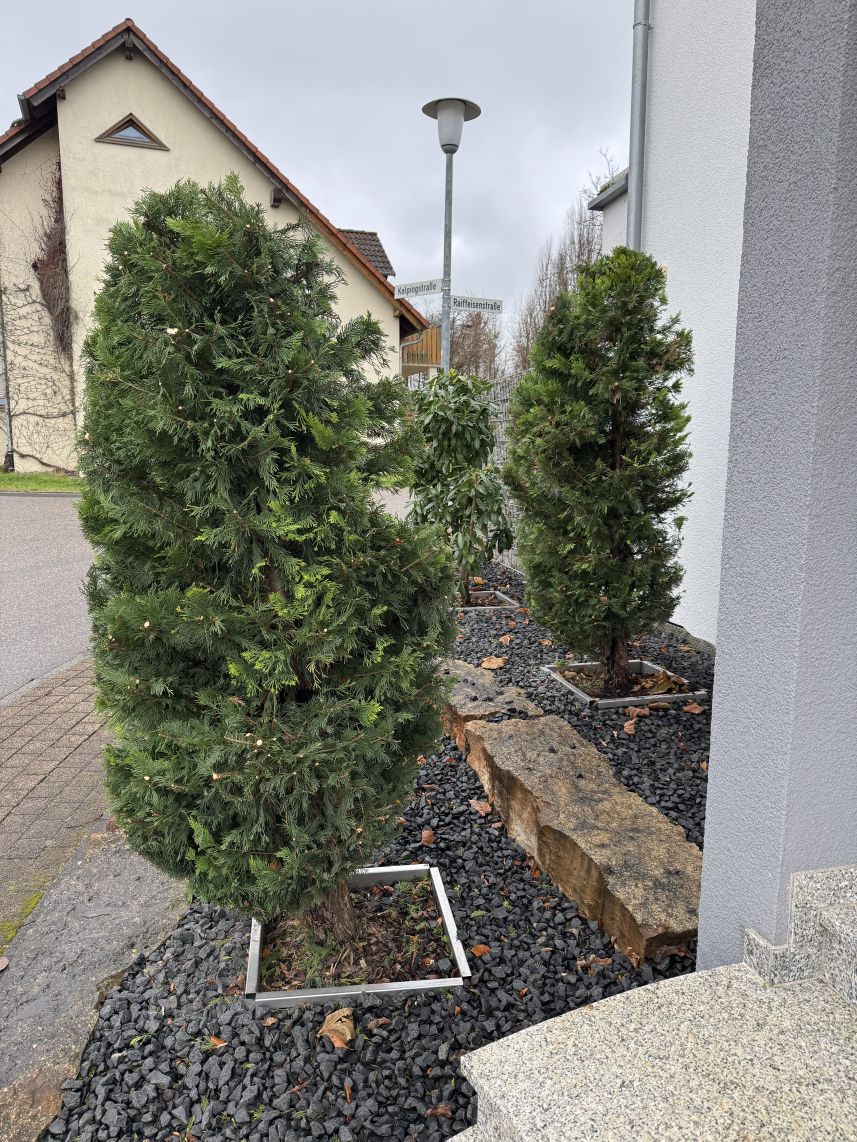 Garten mit stilvollen Sträuchern